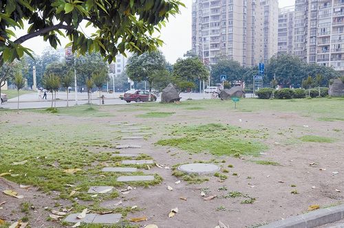 不文明行为让城市草坪很受伤(图1)
