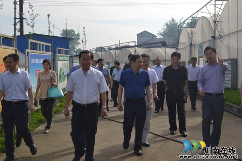 华阳街道：资阳市考察团一行参观华阳现代农业休闲观光园(图1)