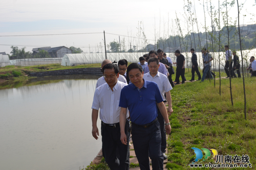 华阳街道：资阳市考察团一行参观华阳现代农业休闲观光园(图2)