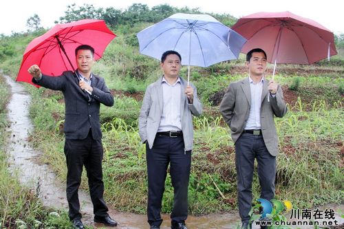 江阳区委副书记张旭光调研通滩镇旅游开发(图1)