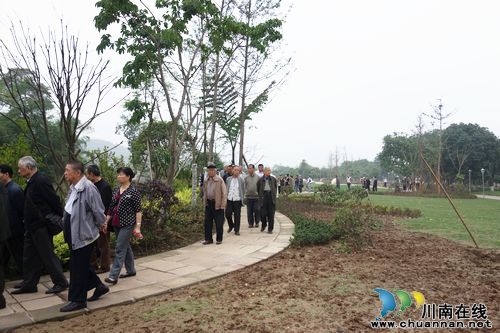 江阳区离退休老干部建言张坝桂圆林建设(图1)