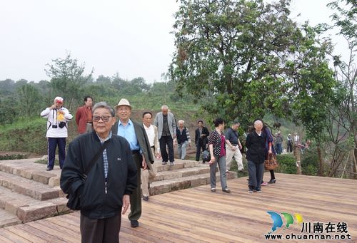 江阳区离退休老干部建言张坝桂圆林建设(图2)