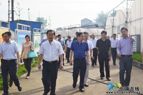 资阳市考察团参观泸州华阳现代农业休闲观光园(图1)