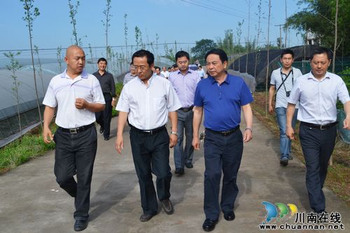 资阳市考察团参观泸州华阳现代农业休闲观光园(图2)