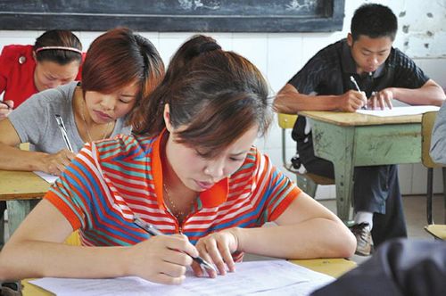 80后女老板&nbsp;开着奔驰来考“村官”(图1)