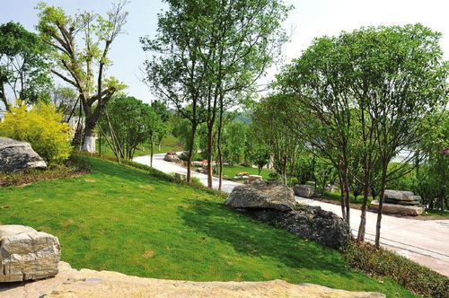 内江谢家河湿地公园周边楼盘炙手可热(图1)