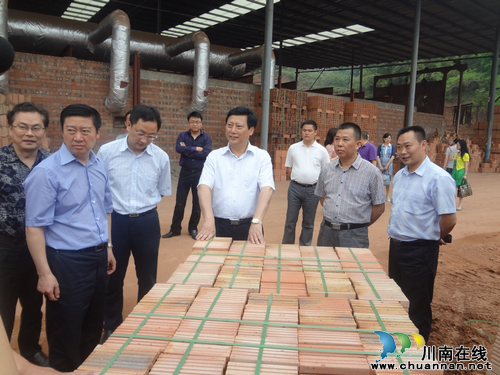 泸州市委副书记曹建国一行莅临华阳检查指导工作(图2)