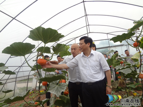 泸州市委副书记曹建国一行莅临华阳检查指导工作(图3)