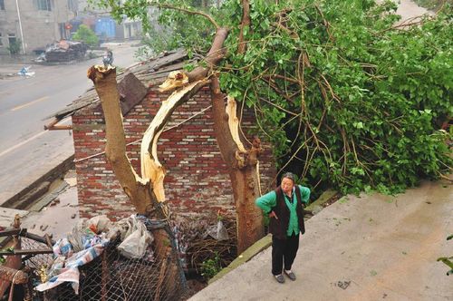 冰雹袭东兴5381人受灾直接经济损失达2339万元(图3)