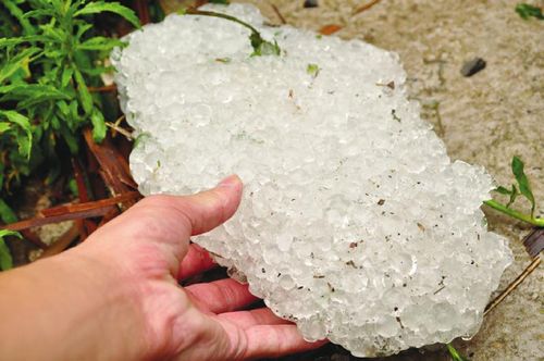 冰雹袭东兴5381人受灾直接经济损失达2339万元(图1)