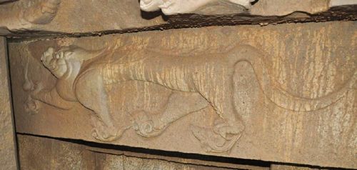 泸州合江首次发现完整龟形宋墓(图2)