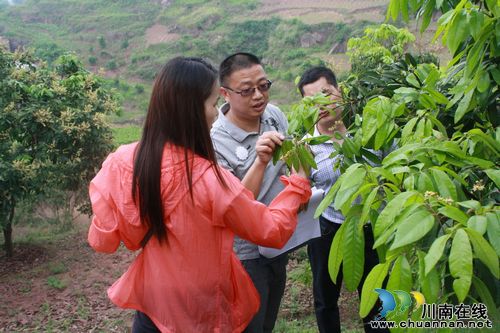海潮镇：迎来国家林业局退耕还林阶段性检查验收(图1)