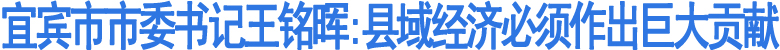 王铭晖:县域经济必须作出巨大贡献