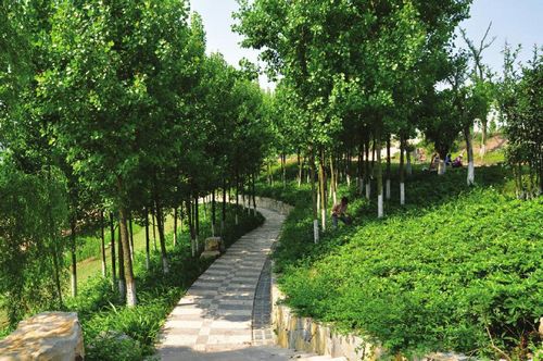 内江公园地产&nbsp;“李鬼”与李逵并存(图1)
