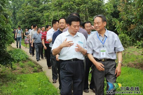 省人大来泸县海潮镇调研桂圆专业合作社(图2) 省人大来泸县海潮镇调研桂圆专业合作社(图2)