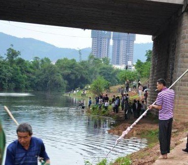泸县九曲河现大量死鱼 群众下水捕捞(图5) 泸县九曲河现大量死鱼 群众下水捕捞(图5)