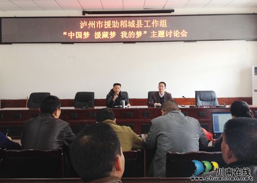 泸州援藏干部人才组织“中国梦·援藏梦·我的梦”主题讨论活动(图1)