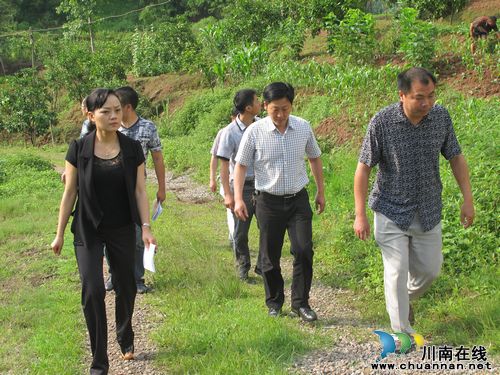 泸县副县长余静到奇峰镇检查地质灾害防治工作(图1)