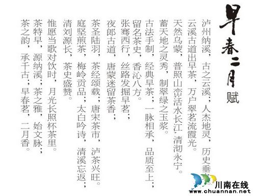 四川茶博会纳溪特早茶参展&nbsp;亮点突出(图2)