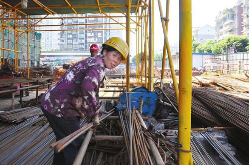 民生关注宜宾将为农民工提供1910套公租房(图2)