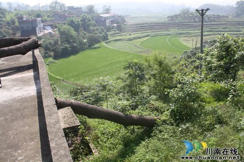 海潮镇：巡查地质灾害隐患点&nbsp;指导灾害防治工作(图2)