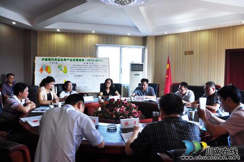 泸县人大调研全县现代农业建设情况(图1)