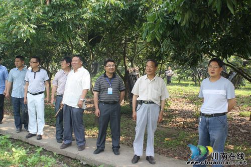 泸县政协到海潮镇调研农村专业合作组织建设(图1)