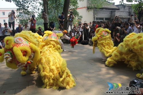 泸州:纳溪龙车"班打狮子"受省内外摄影者好评(图2)