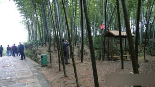关注“到此一游”肆虐 川南景区没能幸免(图2) 关注“到此一游”肆虐 川南景区没能幸免(图2)