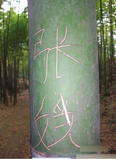 关注“到此一游”肆虐 川南景区没能幸免(图3) 关注“到此一游”肆虐 川南景区没能幸免(图3)