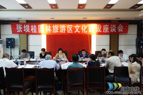 张坝：文化建设座谈会&nbsp;专家学者畅所欲言