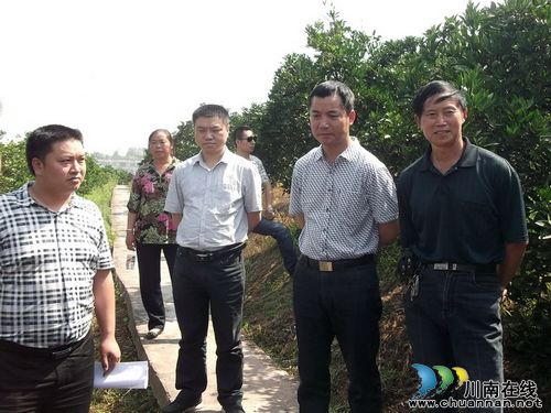 通滩镇：县区乡镇高效互动&nbsp;共促甜橙产业发展
