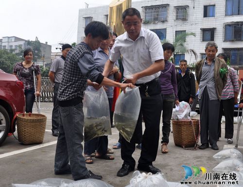 云锦镇：免费发放鱼苗&nbsp;助残疾人创业致富