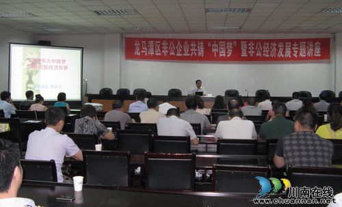 龙马潭区统战部与工商联支部联合开展“中国梦”主题教育活动(图1)