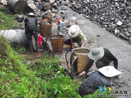 雨天到拦砂坝捡煤，危险！