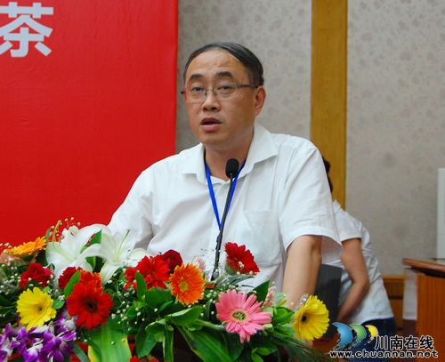 泸州:各界共绘“民康梦” 品鉴对话特早茶(图9) 泸州:各界共绘“民康梦” 品鉴对话特早茶(图9)