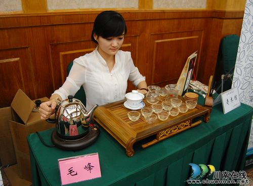 泸州:各界共绘“民康梦” 品鉴对话特早茶(图23) 泸州:各界共绘“民康梦” 品鉴对话特早茶(图23)