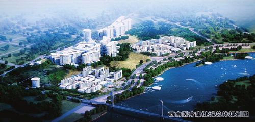 投资65亿&nbsp;泸州打造川南医疗卫生中心(图1)