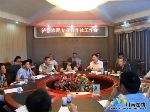 泸县农业局召开农民专业合作社工作会