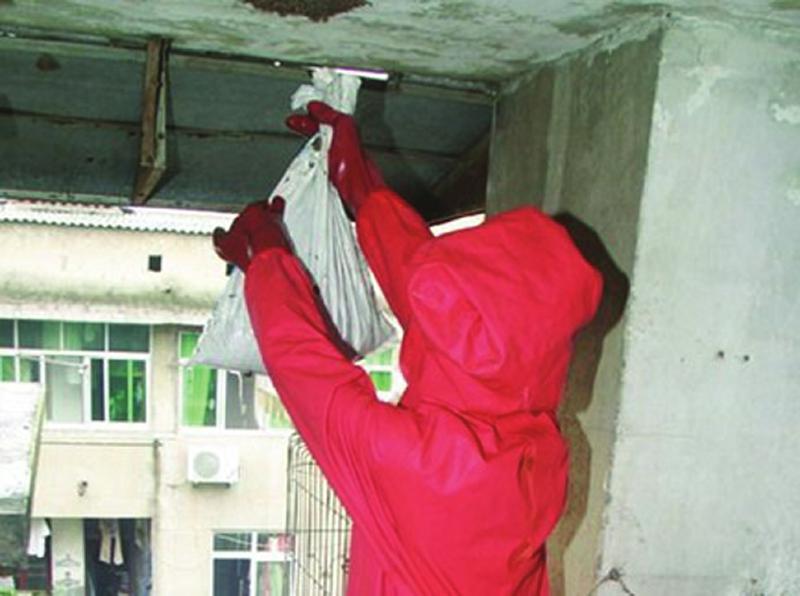 客厅挂着马蜂窝&nbsp;市民心里直打鼓