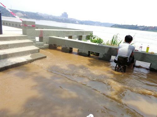 两江洪峰过川南水位上涨&nbsp;泸州市民江边忙钓鱼
