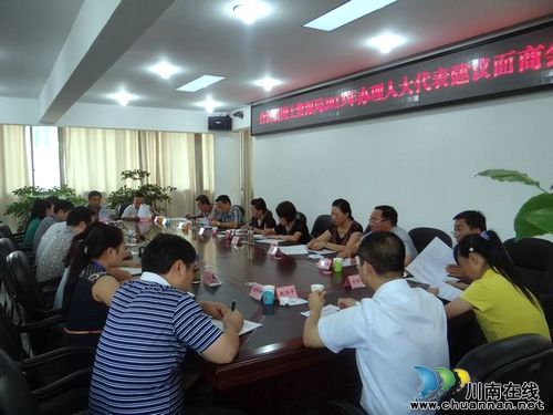 合江县国土资源局与人大代表面商建议办理工作