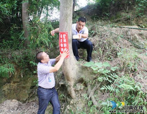 海潮镇：强化宣传&nbsp;落实责任&nbsp;全面做好森林防火工作