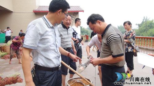 海潮镇成功通过"泸县2013年高粱高产创建项目"测产验收(图1) 海潮镇成功通过"泸县2013年高粱高产创建项目"测产验收(图1)