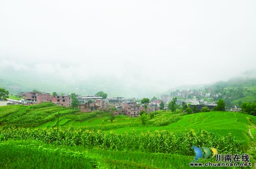 古蔺一位退休县委书记的“换位思考”(图3) 古蔺一位退休县委书记的“换位思考”(图3)