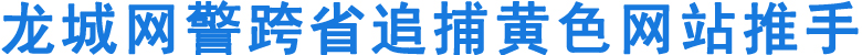 龙城网警跨省追捕黄色网站推手