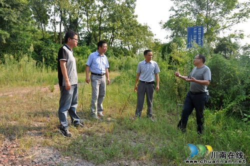 云锦镇：组织开展森林防火安全和敬老院安全检查(图1)