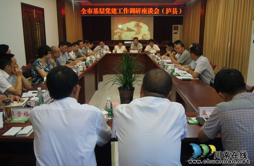 泸州市委组织部调研泸县基层党建工作(图2)