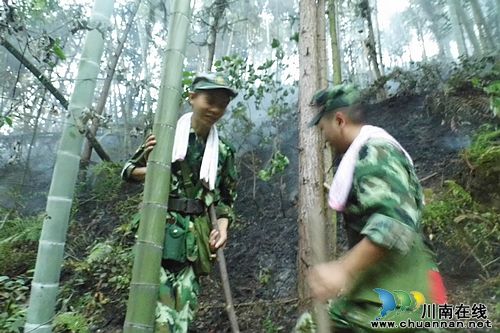 高温引发森林火险 两地消防官兵奋战7小时扑灭大火(图3) 高温引发森林火险 两地消防官兵奋战7小时扑灭大火(图3)