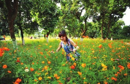 泸州张坝桂圆林门票定价方案 20日召开听证会(图1) 泸州张坝桂圆林门票定价方案 20日召开听证会(图1)